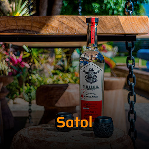 Sotol