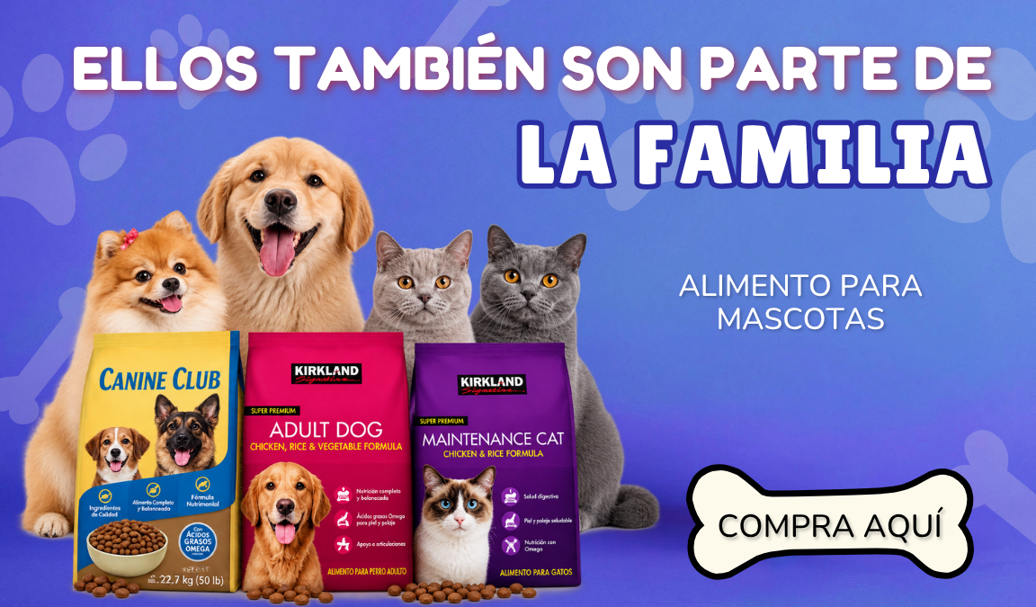 Imagen destacada