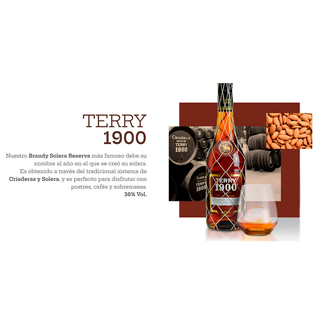 BRANDY TERRY 1900 DE JEREZ 700 ML