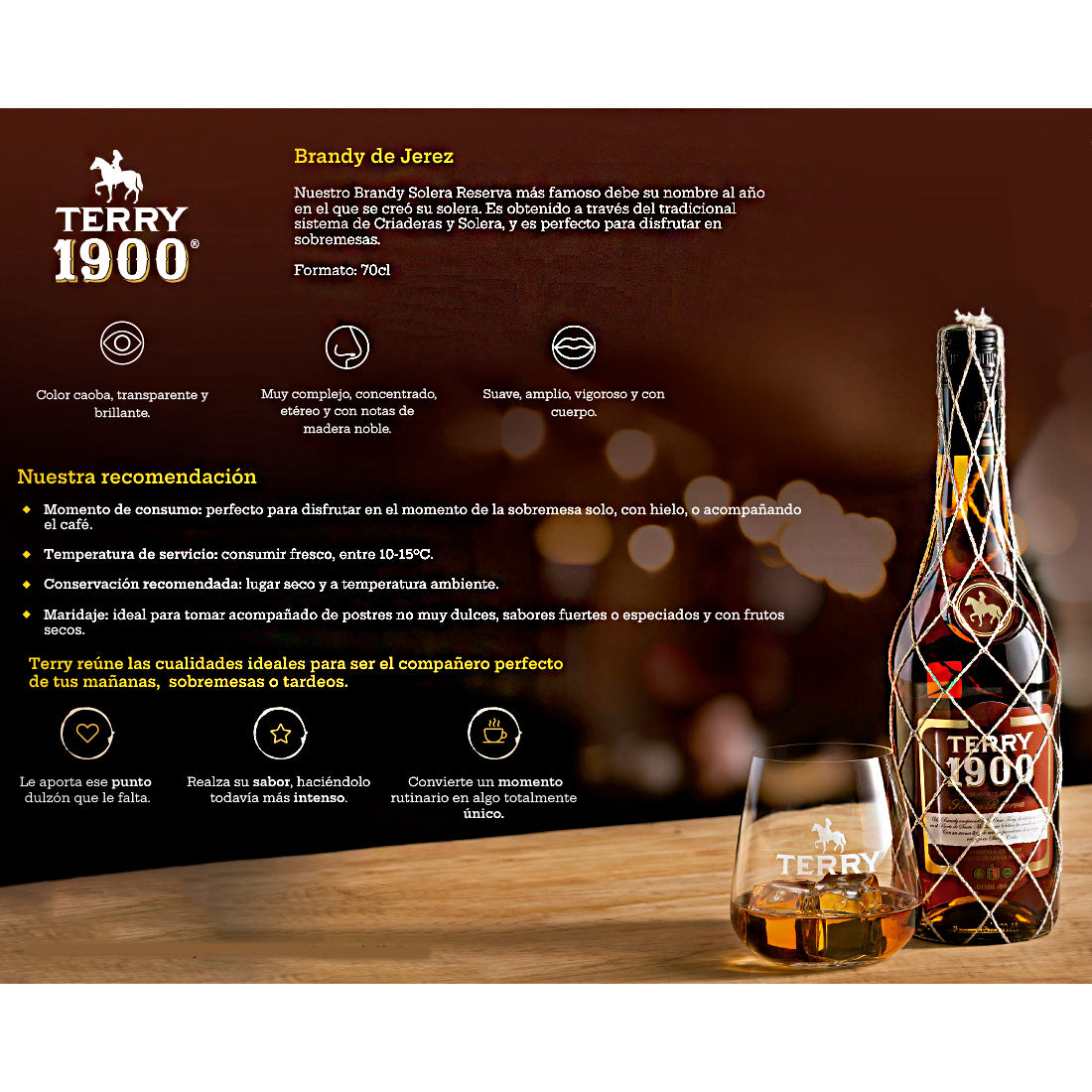 BRANDY TERRY 1900 DE JEREZ 700 ML
