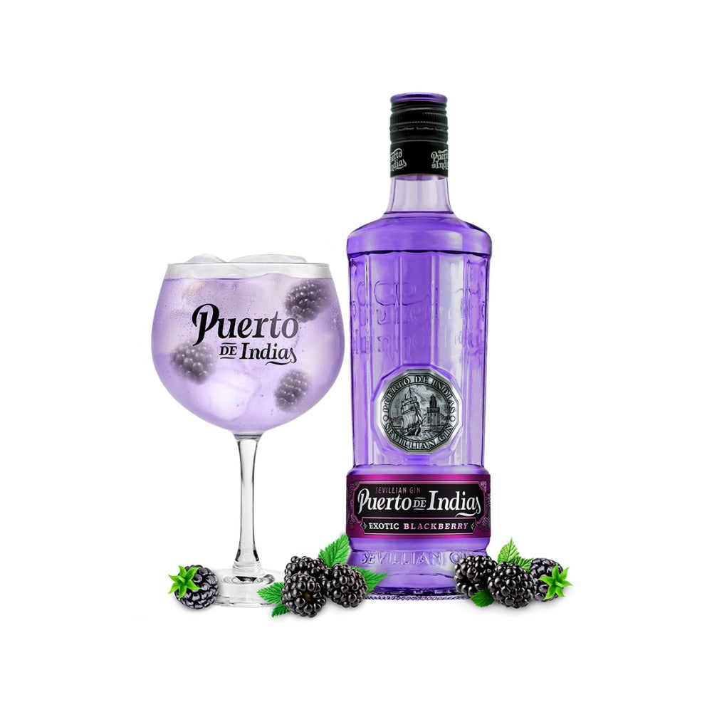 GINEBRA PUERTO DE INDIAS BLACKBERRY 750 ML