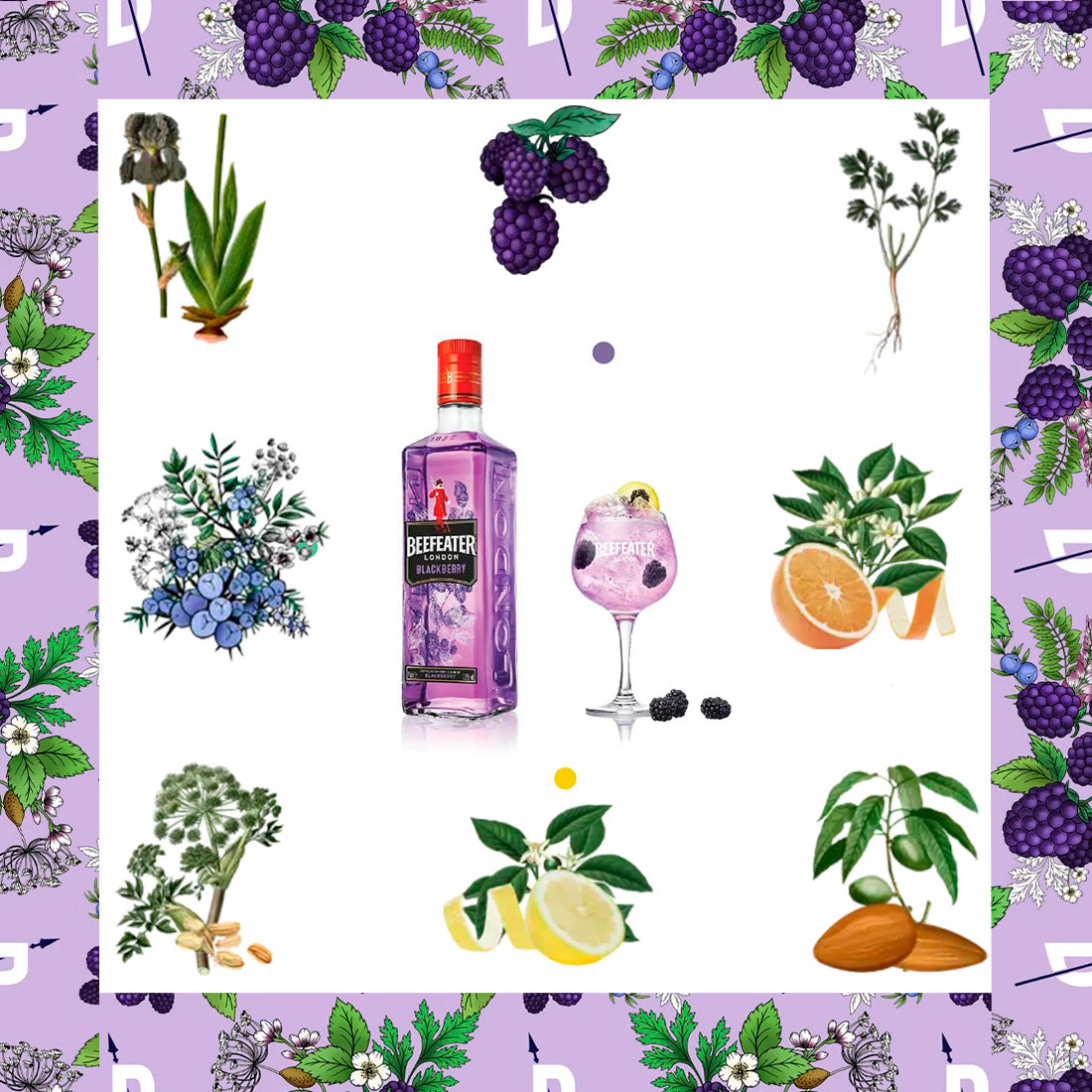 GINEBRA BEEFEATER BLACKBERRY 700 ml