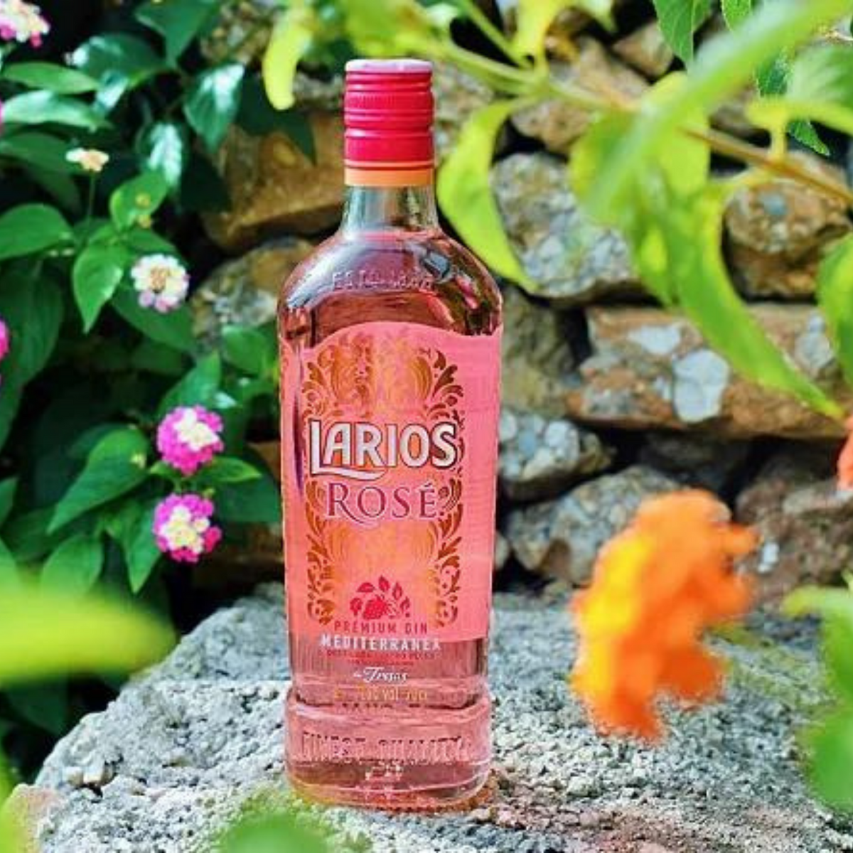 GINEBRA LARIOS ROSE 700 ML