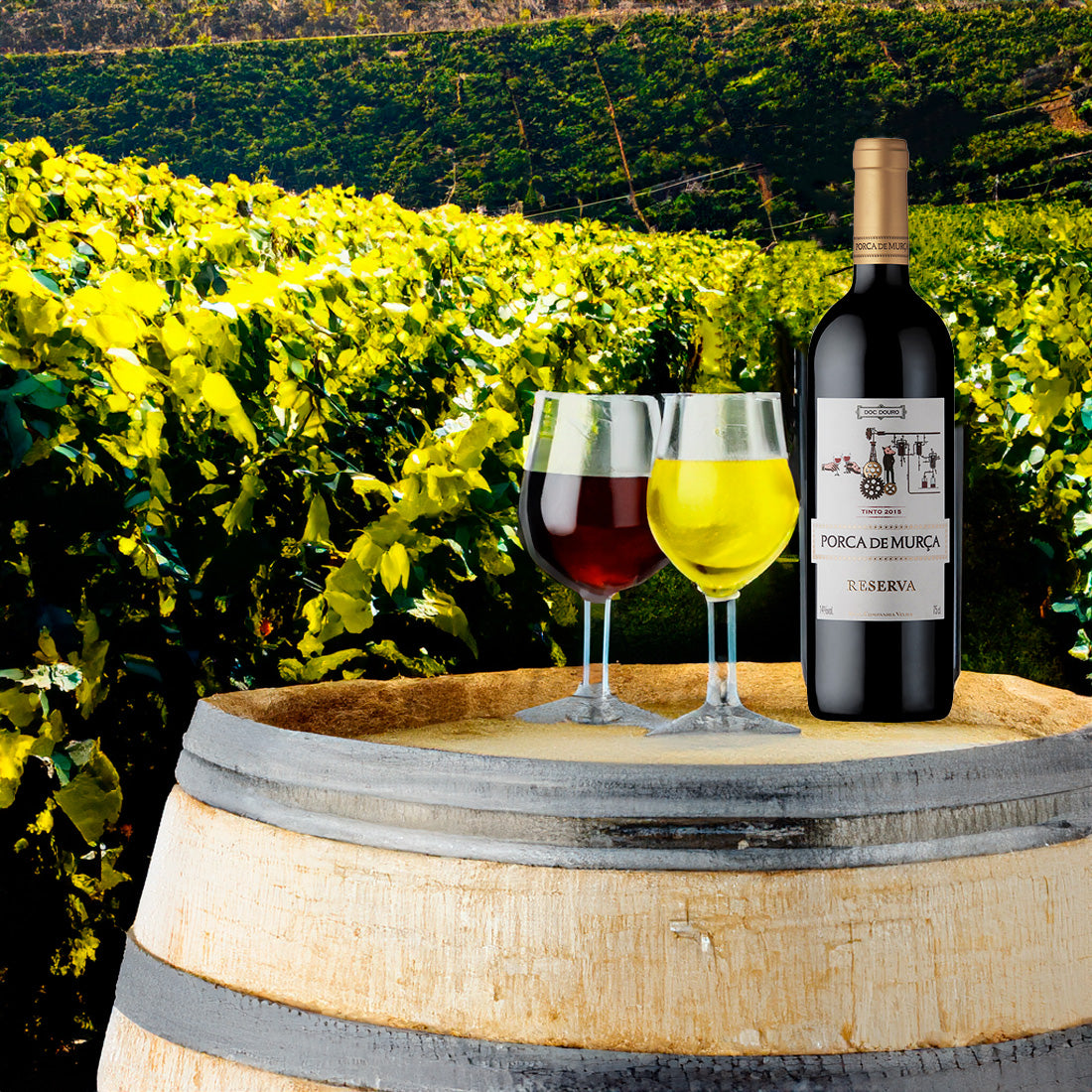 VINO TINTO COMPANHIA VELHA PORCA DE MURCA RESERVA 750 ml