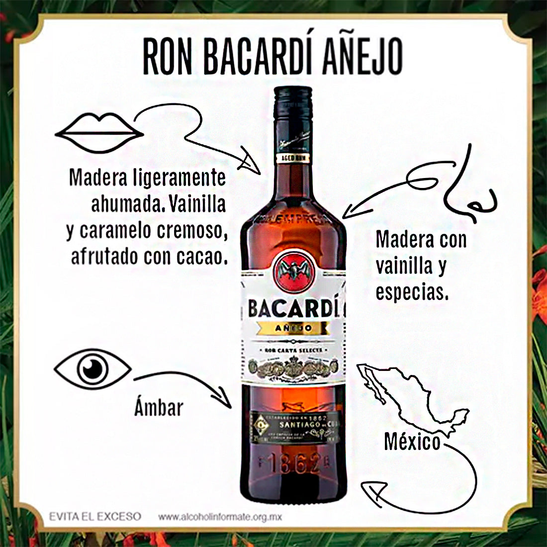 RON BACARDÍ AÑEJO 750 ml