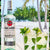 RON BACARDI BLANCO 980 ml