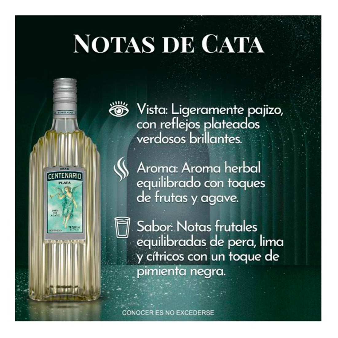 TEQUILA GRAN CENTENARIO PLATA 700 ml