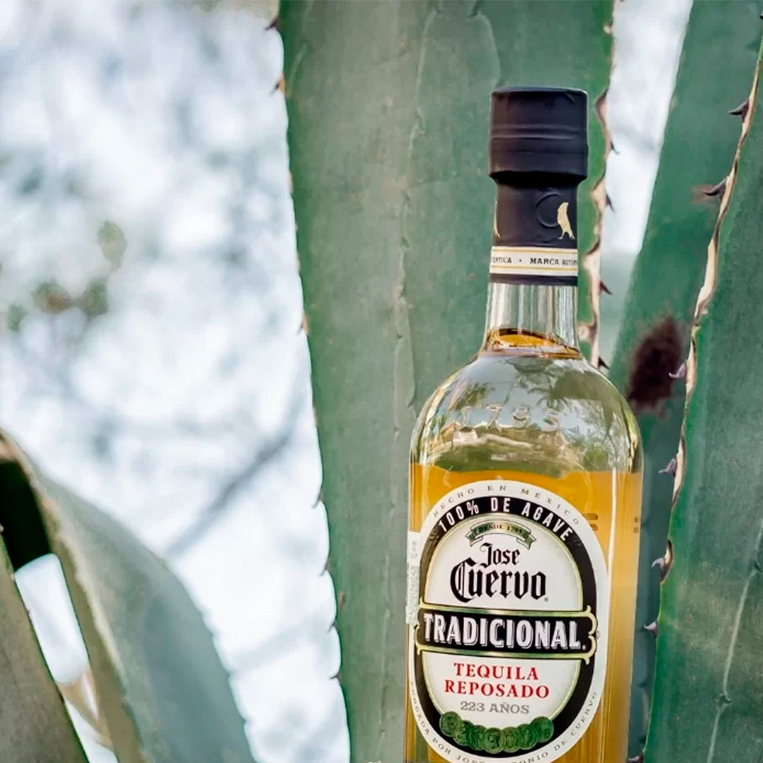TEQUILA JOSE CUERVO TRADICIONAL REPOSADO 950 ml