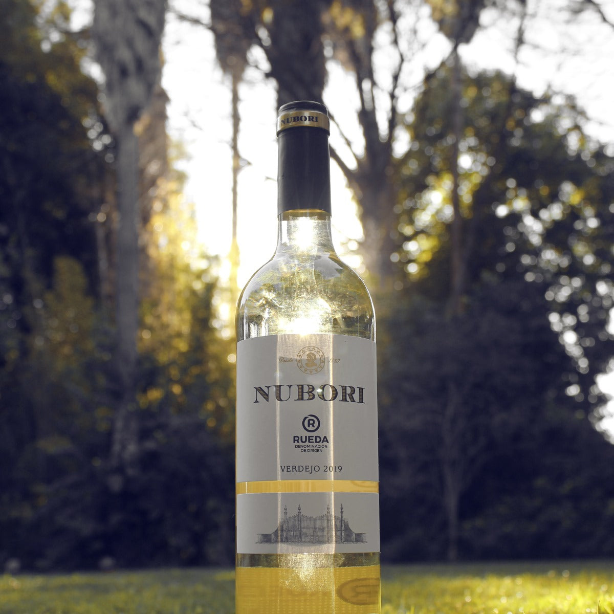 COMBO NUBORI: VINO BLANCO RUEDA VERDEJO + VINO TINTO CRIANZA 750 ML