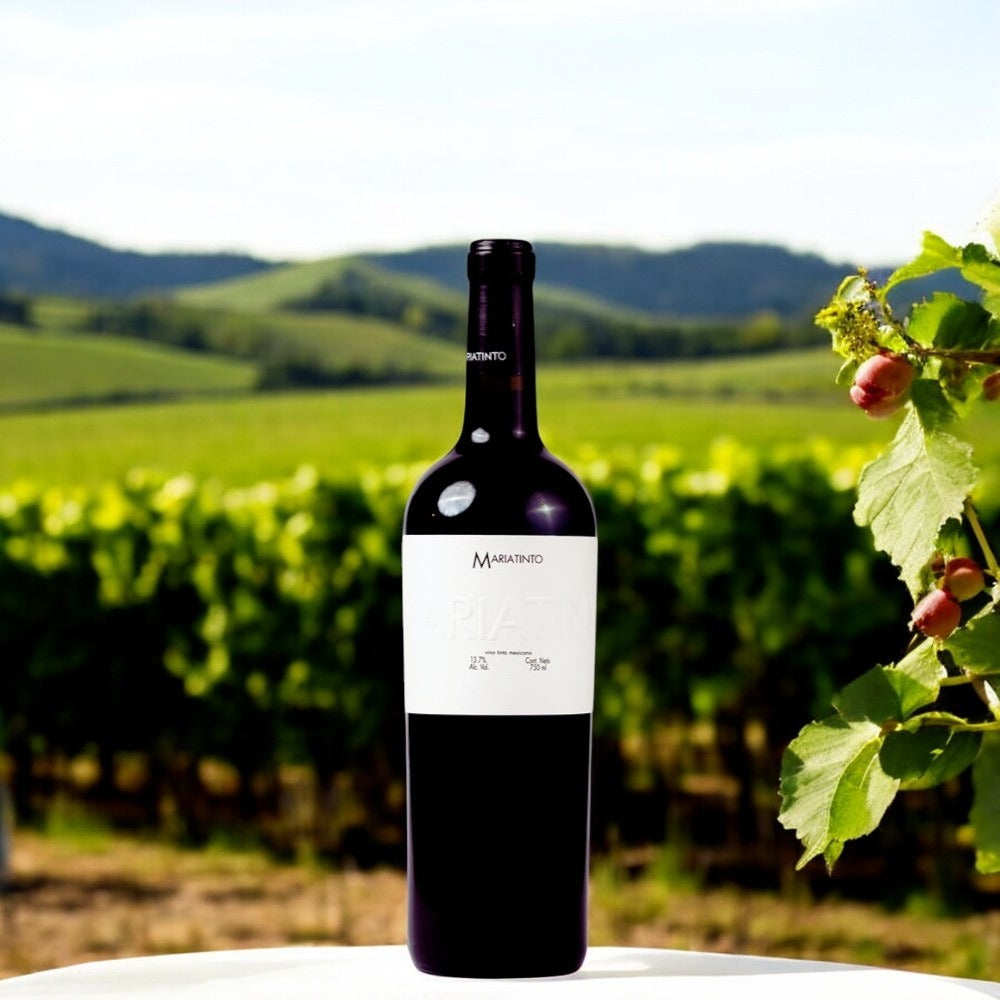 VINO TINTO DENOMINACIÓN DE ORIGEN MARIATINTO 750 ML
