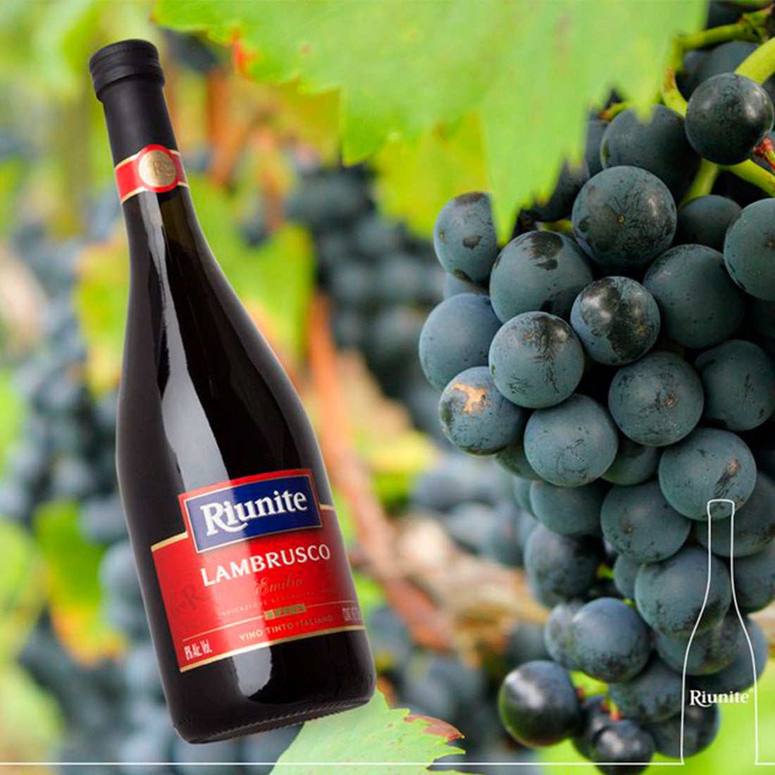 VINO TINTO RIUNITE LAMBRUSCO 750 ml