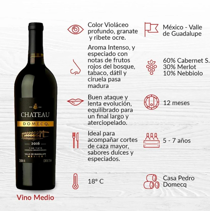 VINO TINTO DOMECQ CHATEAU 750 ml