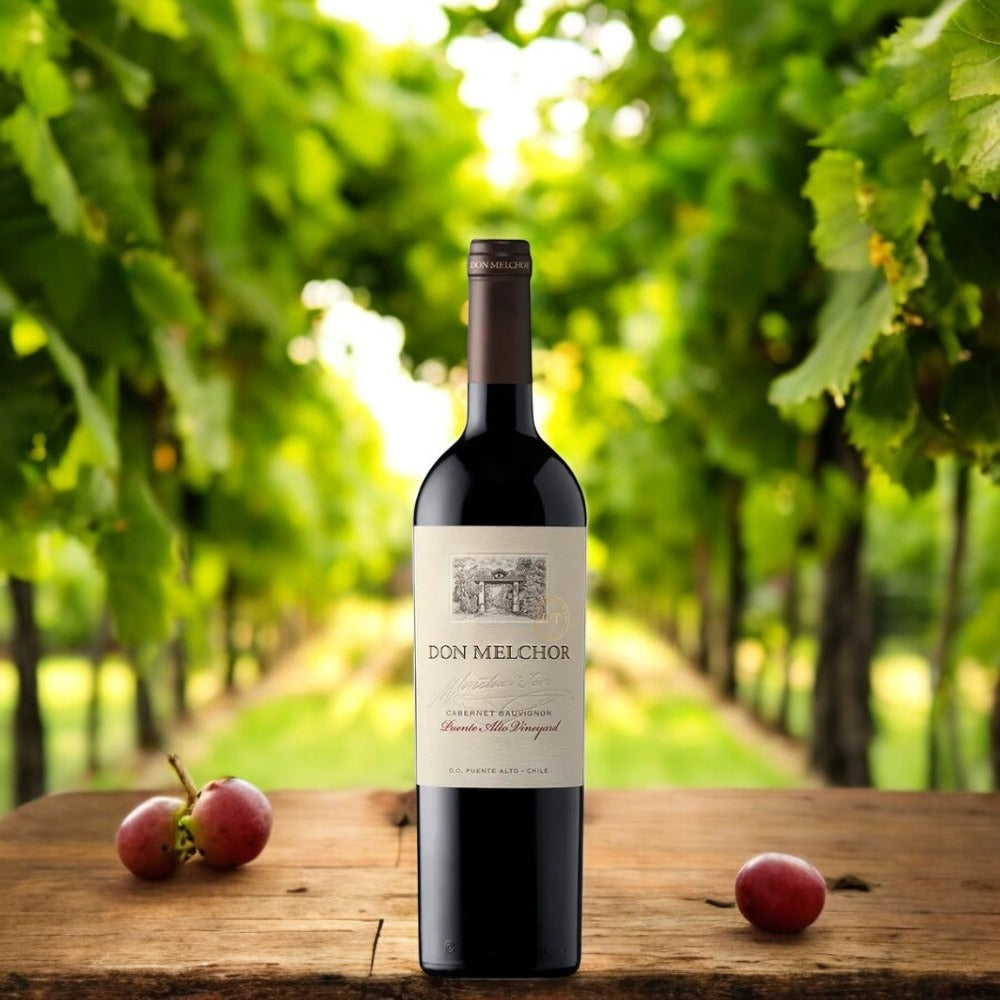 VINO TINTO COCHA Y TORO DON MELCHOR CABERNET SAUVIGNON 750 ML