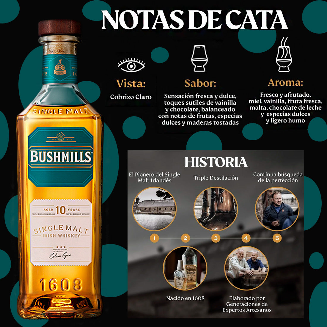 WHISKY BUSHMILLS SINGLE MALT 10 AÑOS 750 ml